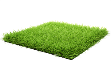 Artificial Grass Sample With White Edging On Transparent Background fake lawn turf isolated on a transparent background