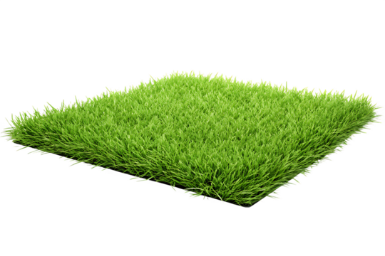 Artificial Grass Sample With White Edging On Transparent Background fake lawn turf isolated on a transparent background
