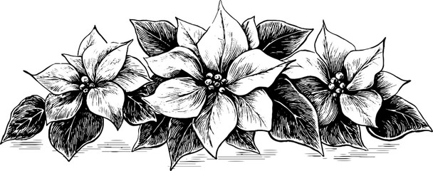 Naklejka na ściany i meble Elegant symmetrical ornament with poinsettia flowers for christmas design