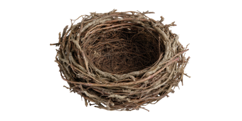 A close-up view of a small, round bird's nest made from twigs and natural materials