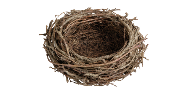 A close-up view of a small, round bird's nest made from twigs and natural materials