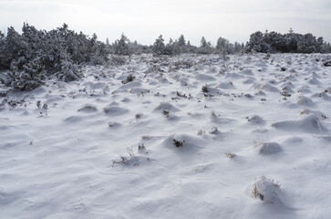 Wintertraum auf der Grindenhochfl&auml;che beim Schliffkopf, Schwarzwald