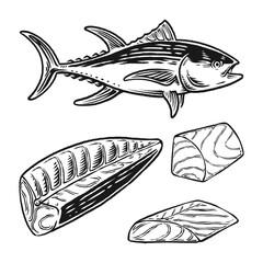 tuna meat fish hand drawn engraved