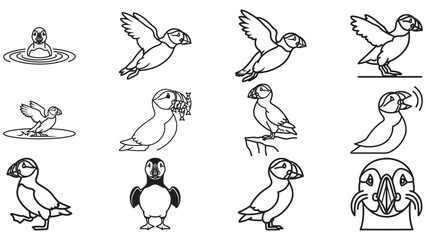 Obraz premium Puffin Line Art Stroke Icon Set With Cute Poses, Seabird Outline Vector For Coastal And Island Wildlife Art