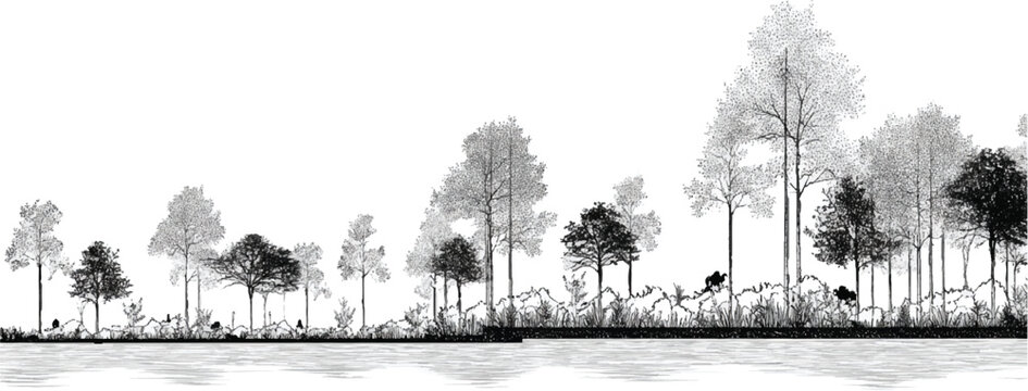 Black and white line drawing of a forest edge with trees and water nature river