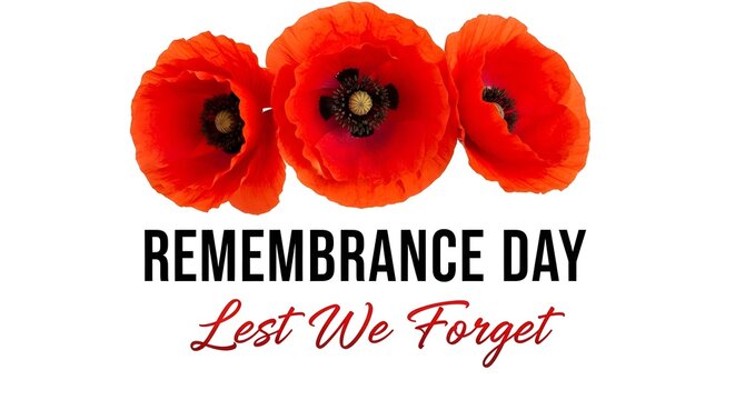 Three bright red remembrance poppies with text lest we forget for remembrance day