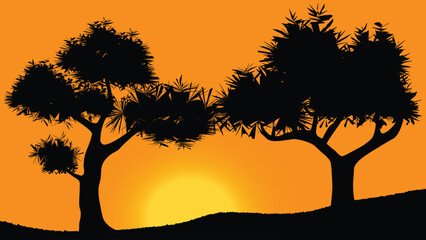 Sunset silhouette of trees in Africa