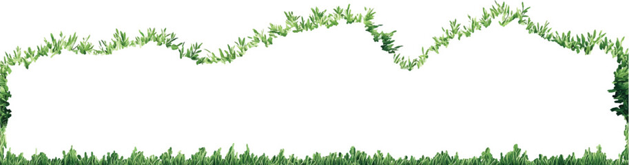 green grass isolated on white