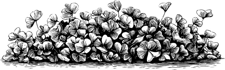 Ornamental engraving pattern with dots and small leaves for decorative design