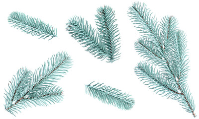 Naklejka premium Christmas tree branches isolated on white, set