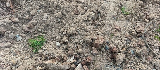 Rough Soil Surface With Rocks and Dry Clumps