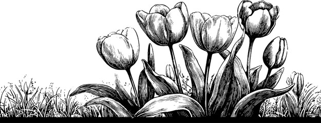 Spring floral border with tulips for greeting card design