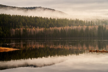  Stirring Autumn Foggy Landscape - Colorful Deciduous Forest, Pine Trees, Lake in Eggedal, Norway