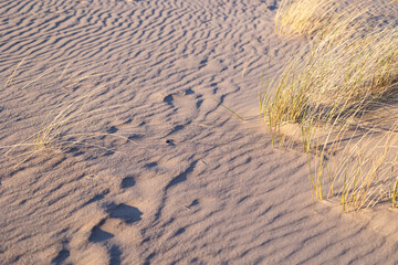 Beautiful sand patterns at the beach of Baltic Sea. Sunny day scenery of Latvia coastline.