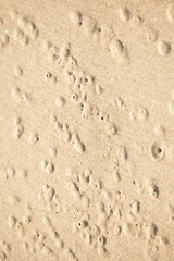 Beautiful sand patterns at the beach of Baltic Sea. Sunny day scenery of Latvia coastline.
