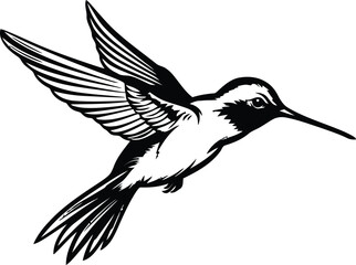 Fototapeta premium Hummingbird’s silhouette, Hummingbirds mascot logo, Hummingbirds Black and White Animal Symbol Design, Bird icon. 
