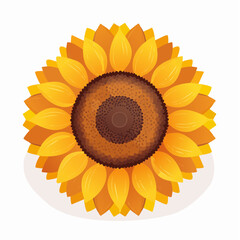 Fototapeta premium Stylized sunflower illustration with yellow petals and brown center on white background