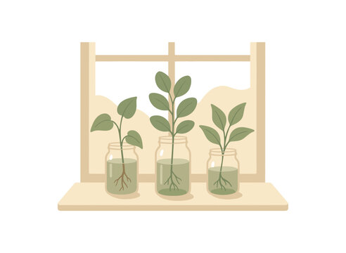 Rubber Plant clip art preview