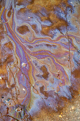 Colorful patterns of a natural oily substance seeping out on a swampy beach. Sunny day on the coast of Baltic Sea, Latva.