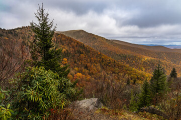 An overlook on the Blue Ridge Parkway in autumn