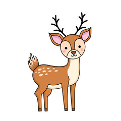 Fototapeta premium deer vector illustration