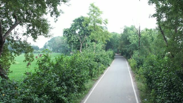 Scenic road in the village of Rohtas, Bihar, India