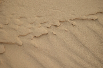 Beautiful sand patterns at the beach of Baltic Sea. Sunny summer evening in Latva.