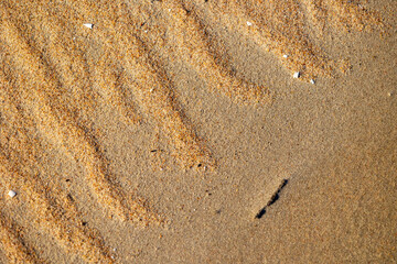 Beautiful sand patterns at the beach of Baltic Sea. Sunny summer evening in Latva.