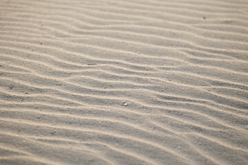 Beautiful sand patterns at the beach of Baltic Sea. Sunny summer evening in Latva.
