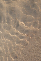 Beautiful sand patterns at the beach of Baltic Sea. Sunny summer evening in Latva.