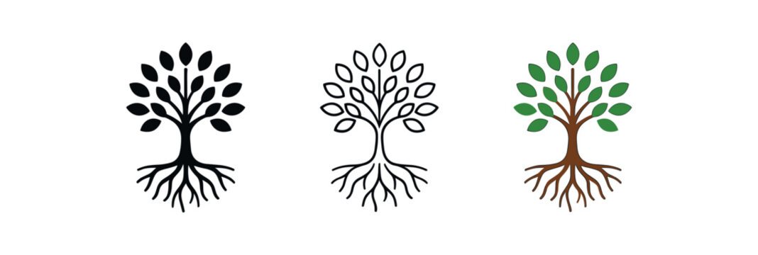 tree of knowledge roots branches icon on white background Black silhouette flat icon outline icon and colored icon style three minimal vector icon style