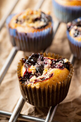 Blackberry muffins on rustic background. Selective focus.
