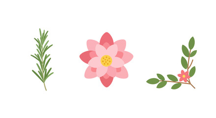 Obraz premium Flat Design Botanical Elements Rosemary Lotus Flower and Floral Branch.