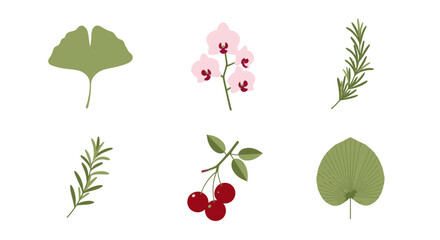 Vibrant botanical illustrations ginkgo leaf pink orchid flowers rosemary sprigs red cherries and a textured palm leaf.