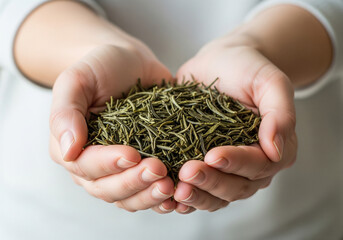 Delicate hands cradle a generous handful of premium dried green tea leaves, promising a pure, invigorating brew