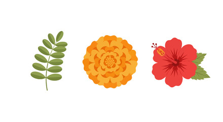 Set of three colorful flat vector botanical illustrations a green leaf an orange marigold and a red hibiscus flower.