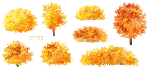 autumn leaves collection, Vector side view ginkgo tree for environment scene in autumn,watercolor tree elevation for landscape concept