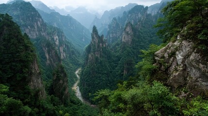 Obraz premium Verdant Sandstone Spires Pierce the Mist in a Chinese Mountain Valley
