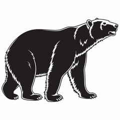 silhouette of a bear