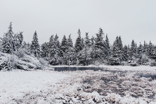 Grýtaputten Pond at Østhøgda Hill, part of the Totenåsen Hills, Norway, in October 2025.