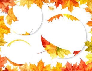 Autumn Leaves Frame - A Vibrant Collage of Fall Colors.
