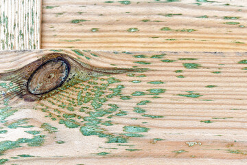 Green mold on wooden fence.