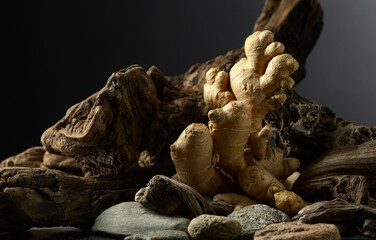 Ginger root with old snags and stones on a black background.