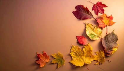 Obraz premium Autumnal Serenity - A Collection of Colorful Leaves on a Warm Background.