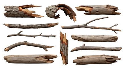 Collection of natural broken tree branches and dry wood sticks on transparent background