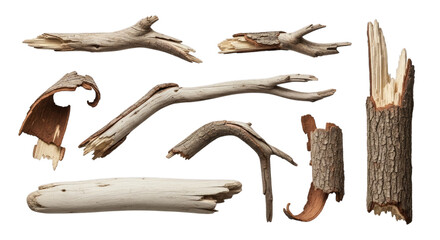 Driftwood pieces collection isolated for crafts and design use on transparent background