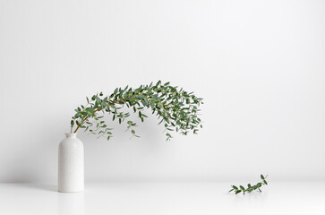 Fototapeta premium Elegant white vase with a long, arching green branch of eucalyptus, set against a minimalist background, creating a serene and modern home decor atmosphere