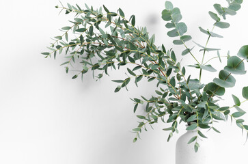 Obraz premium Eucalyptus branches in a minimalist white vase, showcasing vibrant green leaves against a clean background, creating a serene and modern home decor aesthetic with copy space