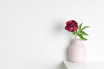 Elegant pink vase with a single peony flower and green leaves, placed on a white surface against a minimalistic background, showcasing modern floral decor and simplicity