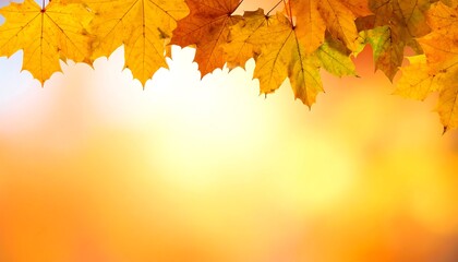 Autumnal Maple Leaves Bordering a Warm, Golden Background.